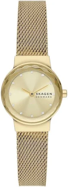 kobiet Zegarek damski Skagen skw3110