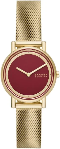 kobiet Zegarek damski Skagen SKW3117