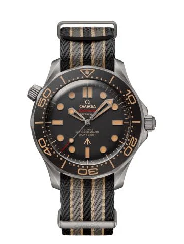 Zegarek Męski OMEGA Seamaster 210.92.42.20.01.001
