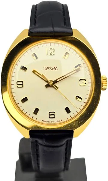 Męski radziecki Zim