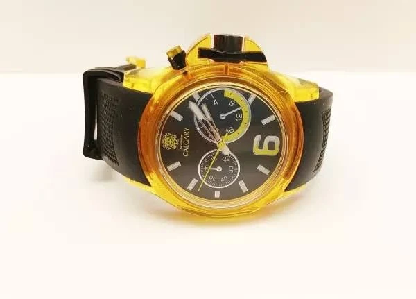 Zegarek Męski Calgary