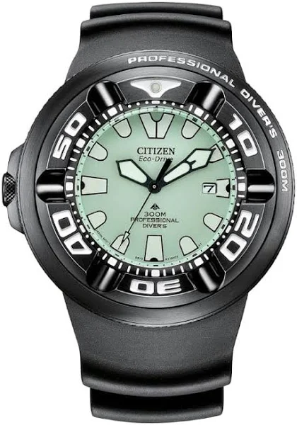 Citizen Promaster
