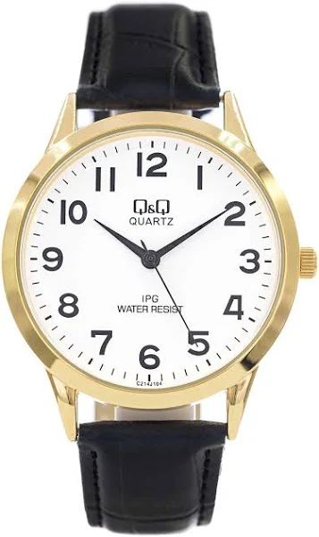 Zegarek męski Q&Q C214-104