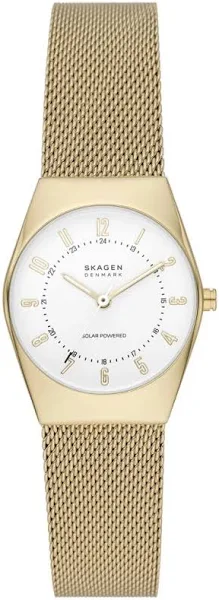 Skagen Zegarek Grenen Lille Solar SKW3077