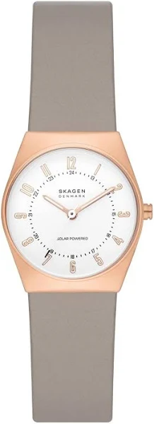 Zegarek Damski Skagen SKW3079