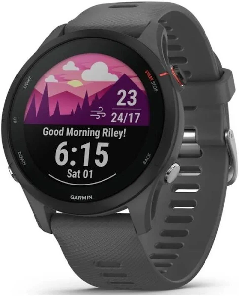 Garmin Forerunner 010-02641