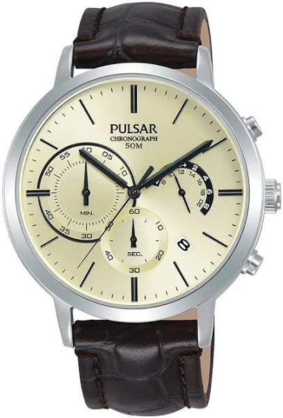 Zegarek męski Pulsar PT3991X1