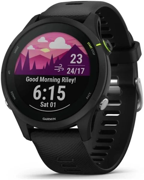 Garmin Forerunner 010-02641